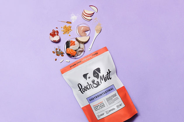 Finding the best food for colitis in dogs