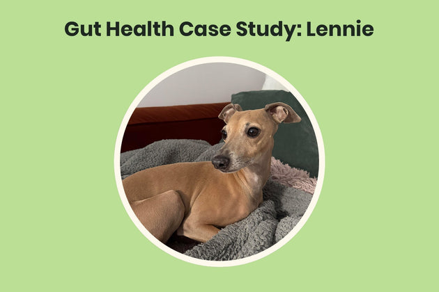 Lennie’s Gut Health Story with Kefir