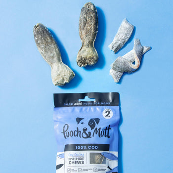 Long-Lasting Fish Hide Chews