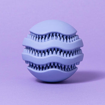 Treat Ball Treat Ball