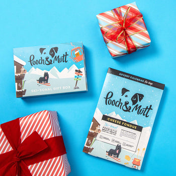 Christmas Dog Bundle Christmas Dog Bundle