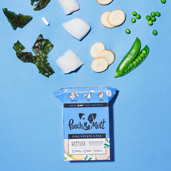 Fish, Potato & Pea Wet Food Fish, Potato & Pea Wet Food