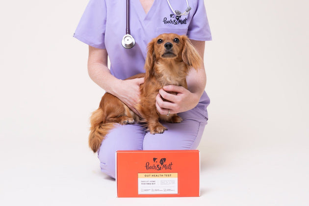 How do you know your dog has an unbalanced microbiome?