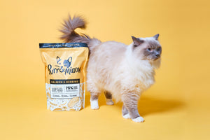Can dogs eat cat food and can cats eat dog food?