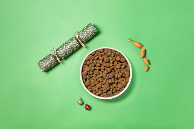 Is Christmas dinner safe for your dog?