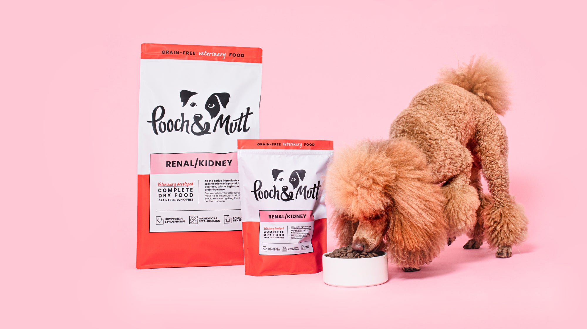 What Food Is Best For Dogs With Kidney Disease? | Pooch & Mutt