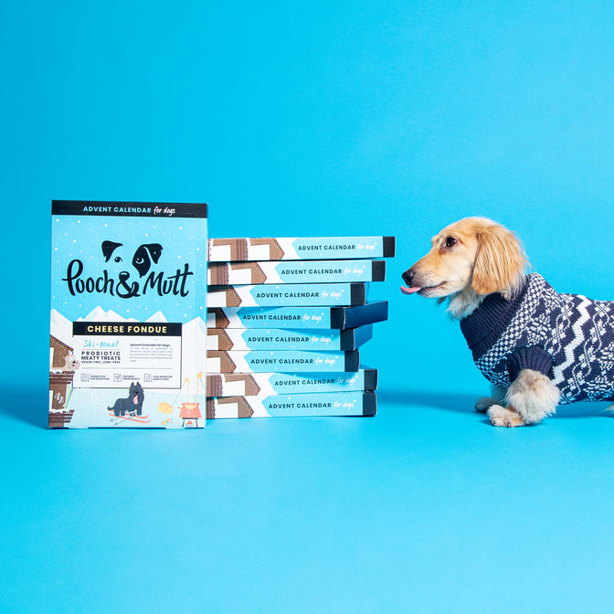 Cheese Fondue Dog Advent Calendar 2023