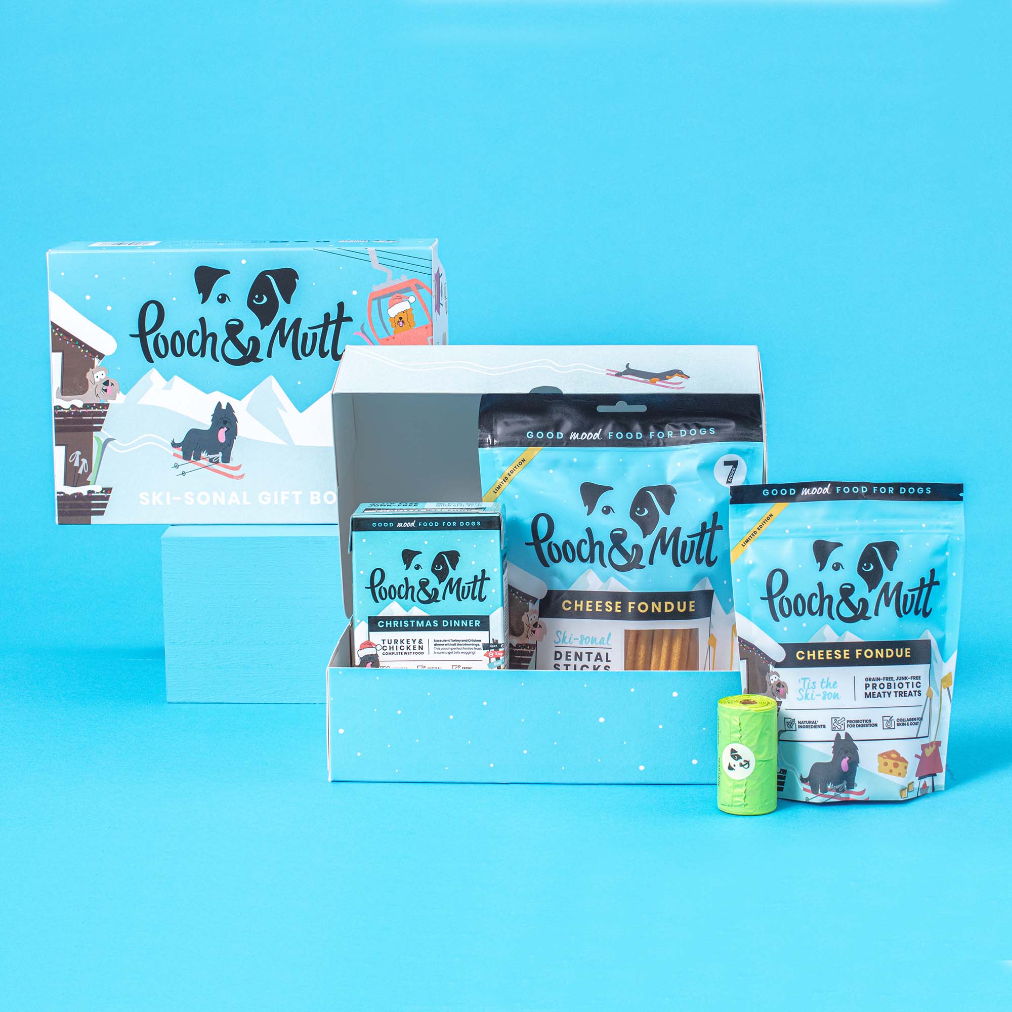 Ski sonal Dog Christmas Gift Box