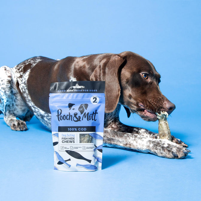 Long-Lasting Fish Hide Chews