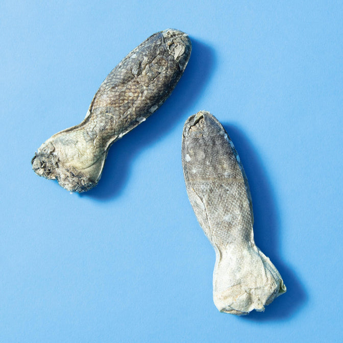 Long-Lasting Fish Hide Chews