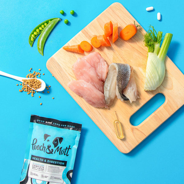 Health & Digestion Complete Wet Food Health & Digestion Complete Wet Food