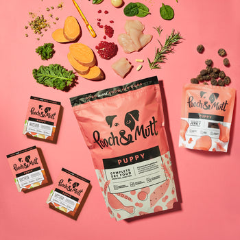 Puppy Complete Bundle