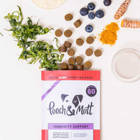 Immunity Support Supplement