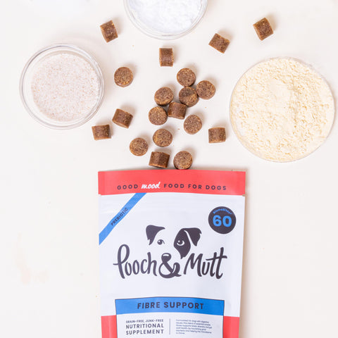 Fibre Support Supplement