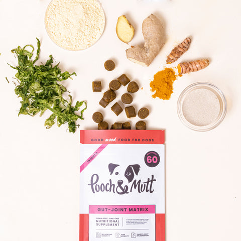 Gut-Joint Matrix Supplement