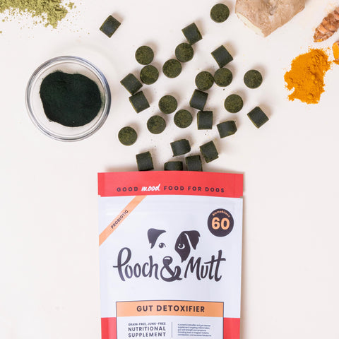 Gut Detoxifier Supplement