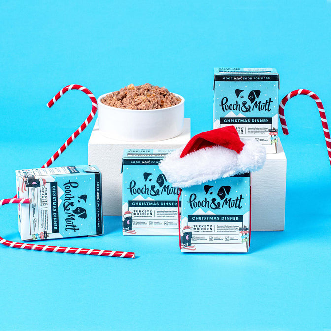 Dog's Christmas Turkey Wet Food Dinner