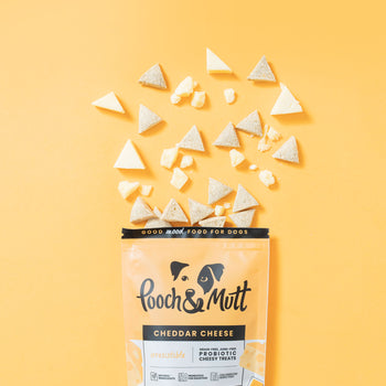 Cheddar Cheese Probiotic Treats
