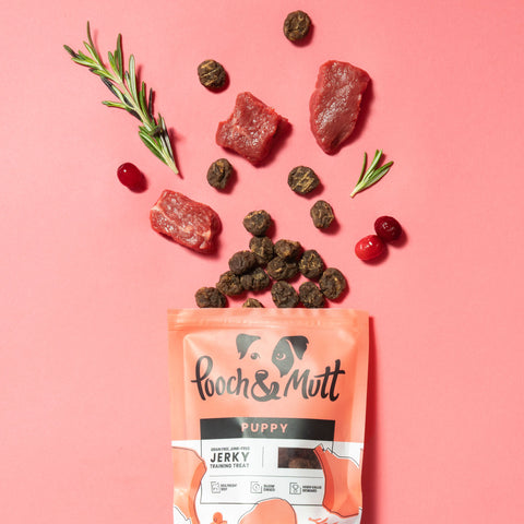 Puppy Beef Jerky Training Treat