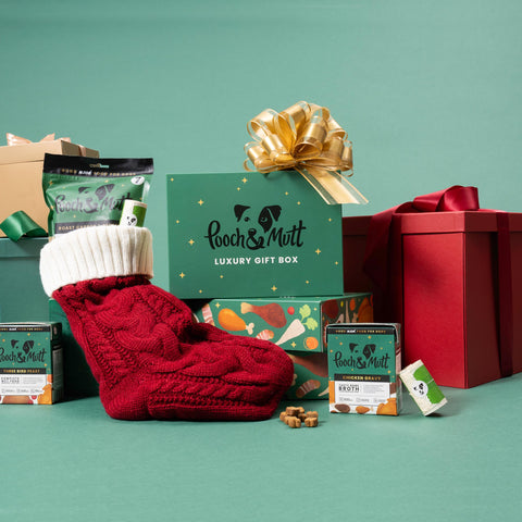 Pooch & Mutt luxury gift box with red stocking and various products on a green background