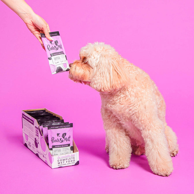 Pooch and mutt calm and relaxed treats sale