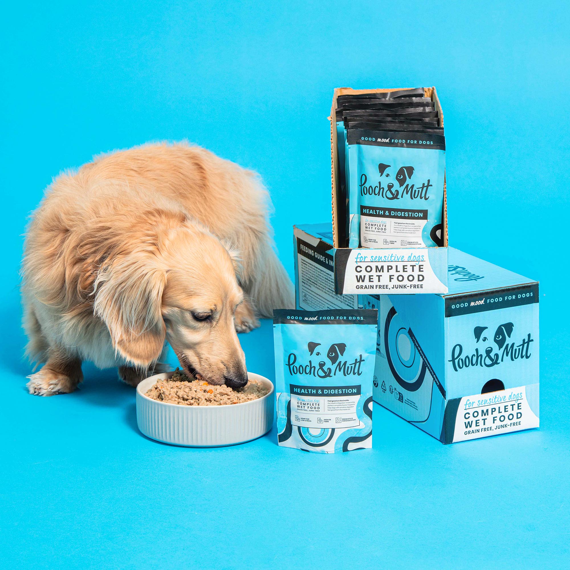 Health Digestion Complete Wet Food