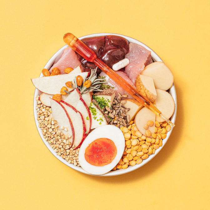 Hepatic Dry Dog Food