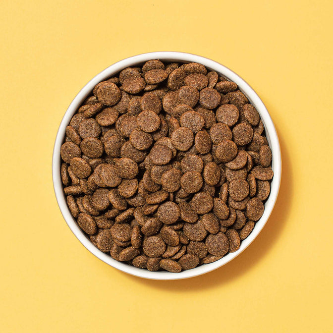 Hepatic Dry Dog Food