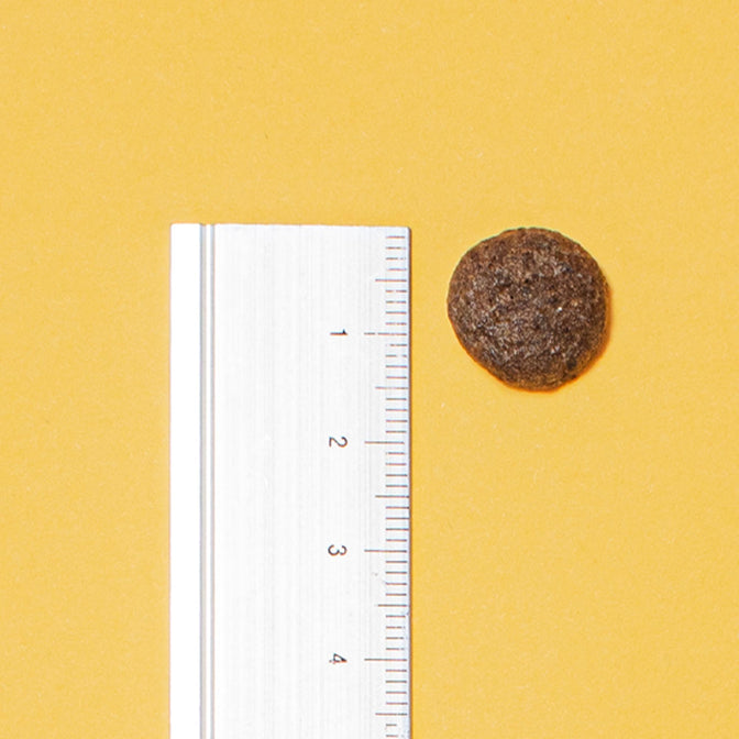 Hepatic Dry Dog Food
