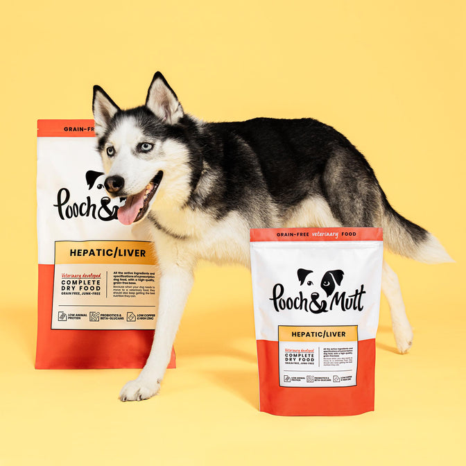 Hepatic Dry Dog Food