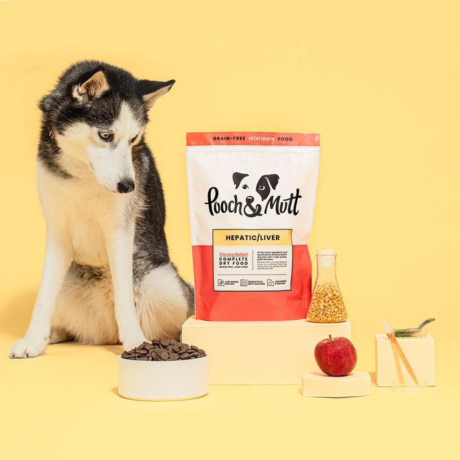 Hepatic Dry Dog Food