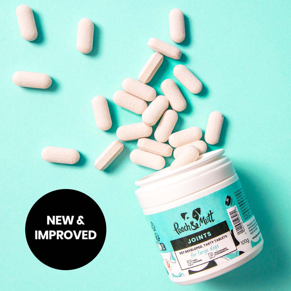 Joint Care Supplement For Dogs Joint Care Supplement For Dogs