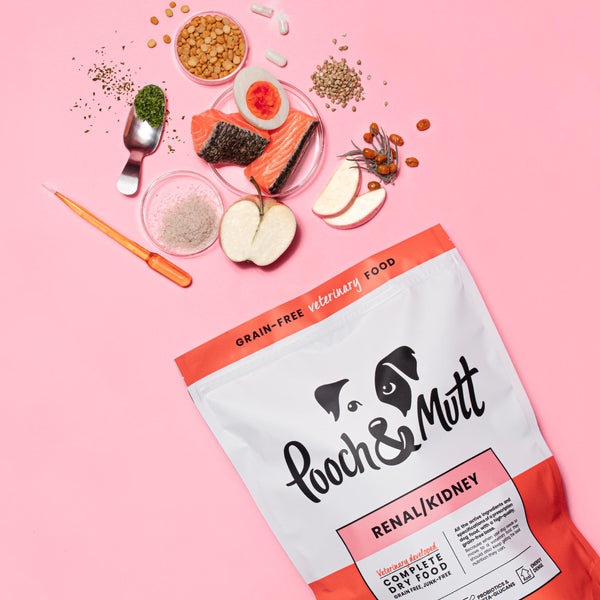 Renal Dry Dog Food Renal Dry Dog Food