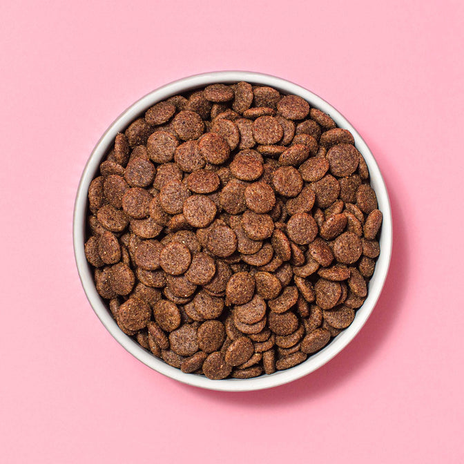Renal Dry Dog Food