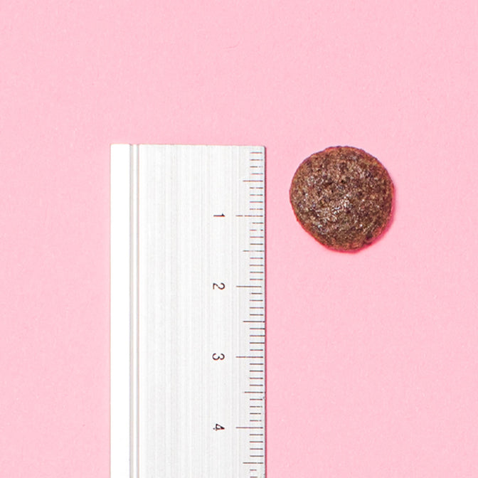 Renal Dry Dog Food