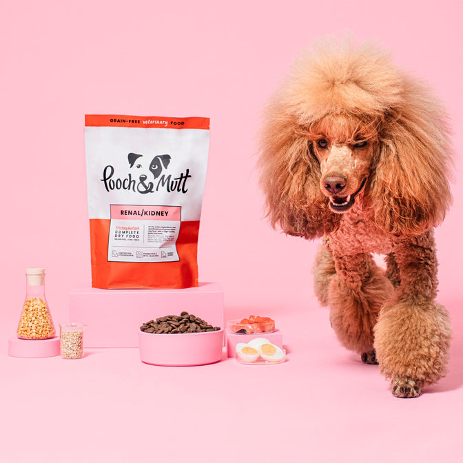 Renal Dry Dog Food