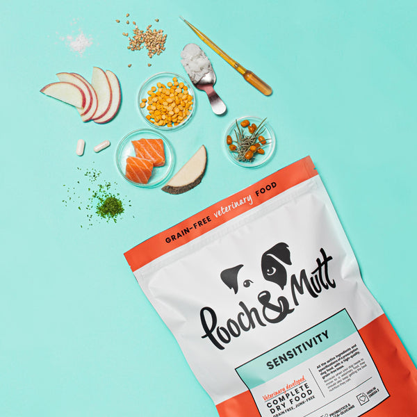 Sensitivity Dry Dog Food For Allergies Sensitivity Dry Dog Food For Allergies