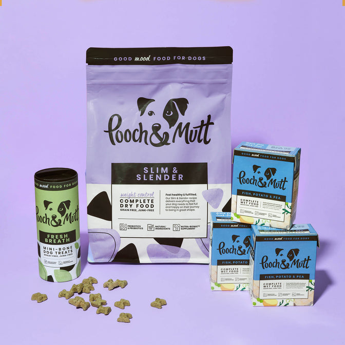 The Weight Loss Bundle
