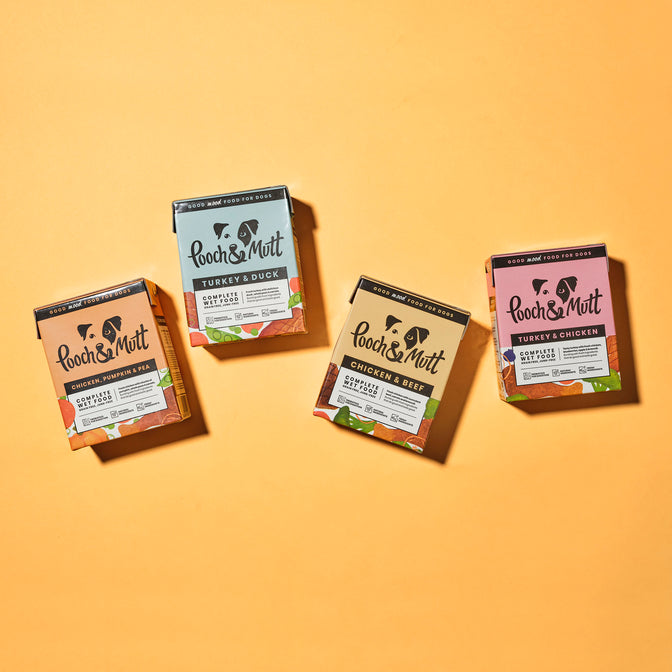 Multipack Wet Food