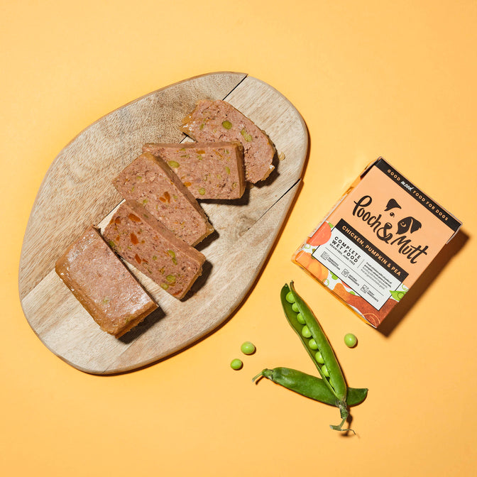 Chicken, Pumpkin & Pea Wet Food