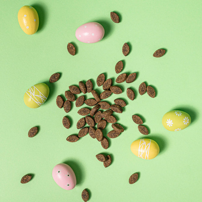 Easter Probiotic Meaty Treats