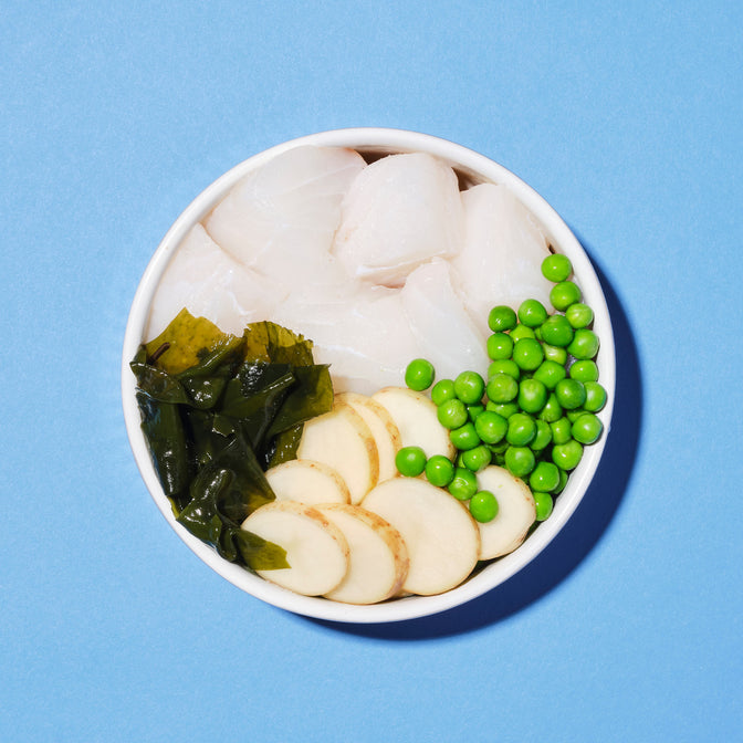 Fish, Potato & Pea Wet Food