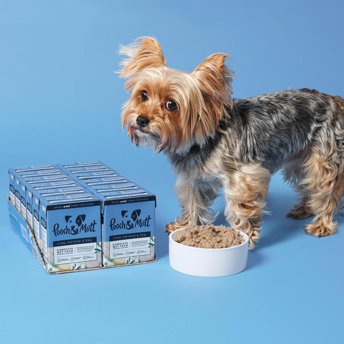 Fish, Potato & Pea Wet Food