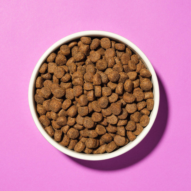 Calm & Relaxed Dry Food