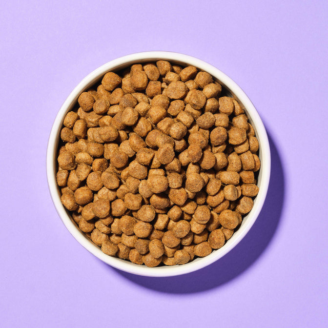 Slim & Slender Dry Food