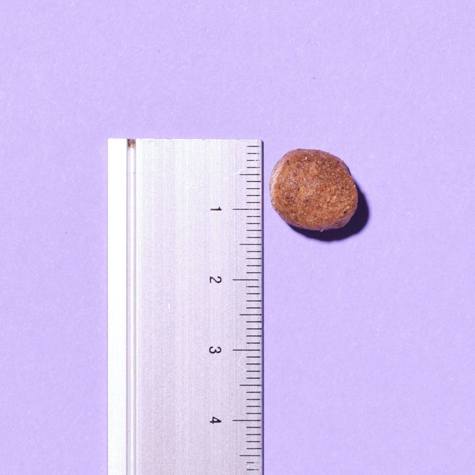 Slim & Slender Dry Food