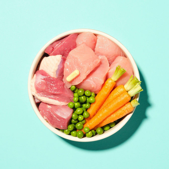 Turkey & Duck Wet Food