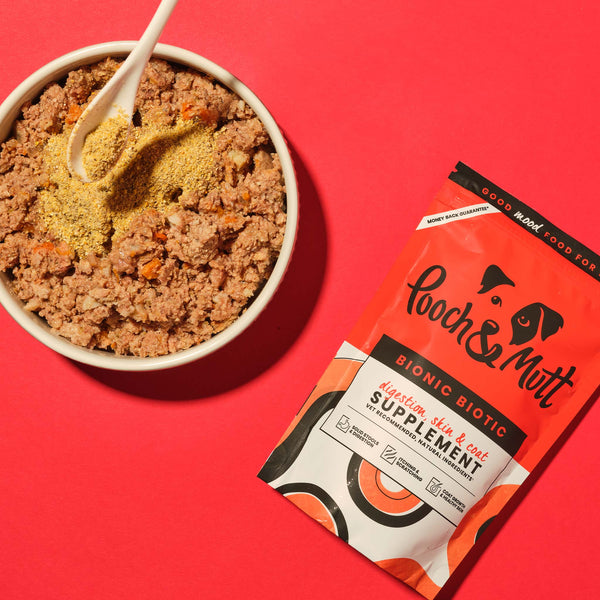 Bionic Biotic Bionic Biotic