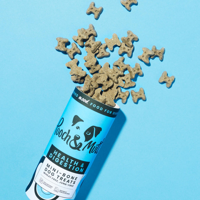 Health & Digestion Mini-Bone Treats