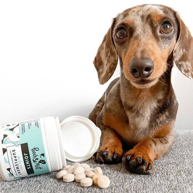 Joint Care Supplement For Dogs